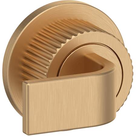 Moen Cambium Single Robe Hook Bronzed Gold