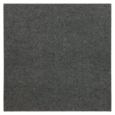 Alternate Image