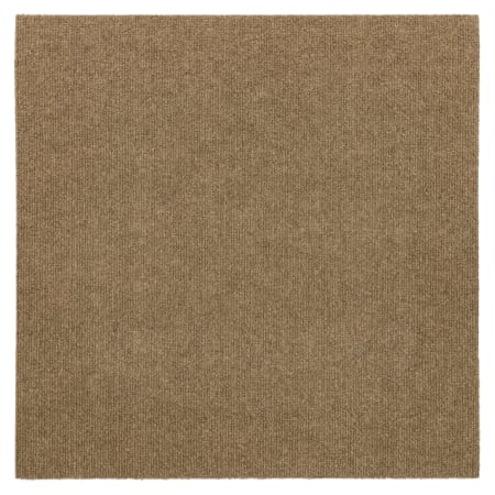 Alternate Image
