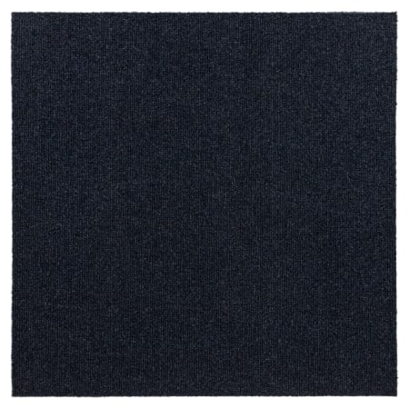 Alternate Image