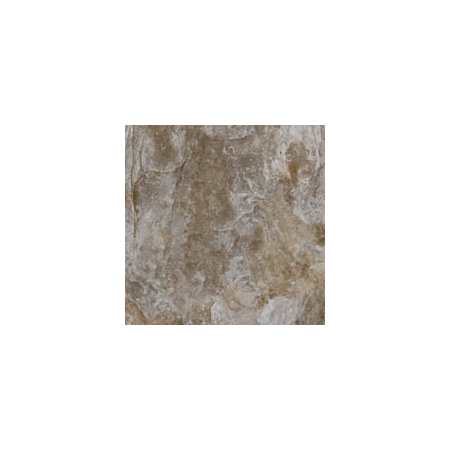 Swatch Image