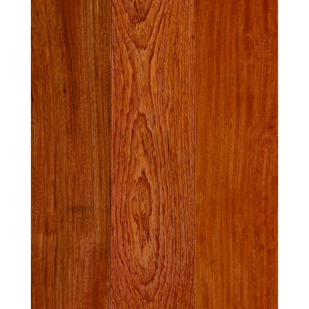 Natural Brazilian Cherry Swatch Image