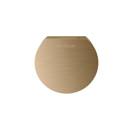 Mr Steam Designer Round 3" Steamhead with AromaTherapy Reservoir Brushed Bronze