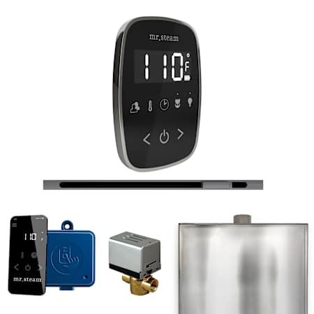 Mr Steam ButlerFlex Linear Steam Shower Control Package with TempoFlex Control and Linear Steamhead Black / Brilliant Black