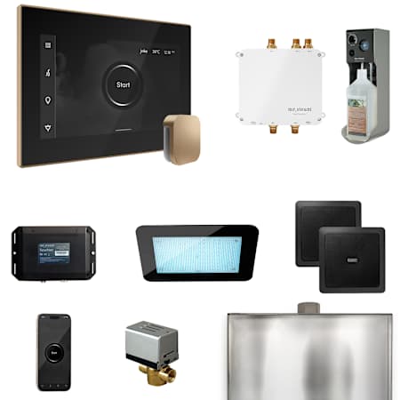 Mr Steam Bliss Steam Shower Control Package with iSteamX Control and Steamhead Black / Brushed Bronze