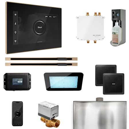 Mr Steam Bliss Max Steam Shower Control Package with iSteamX Control and Linear Steamhead Black / Brushed Bronze