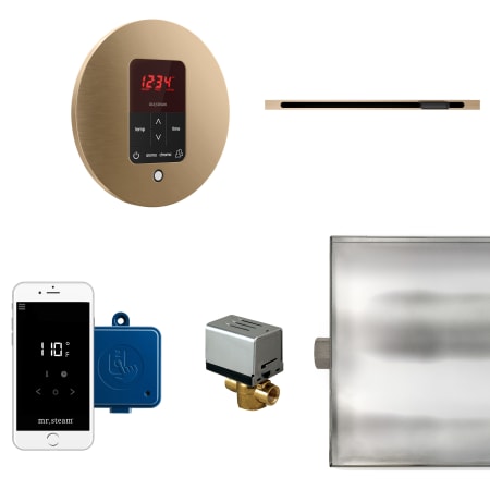 Mr Steam Butler Linear Steam Generator Control Kit / Package Brushed Bronze