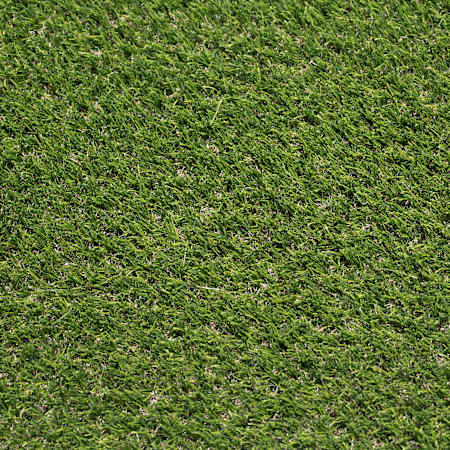 MSI Sample only of MSI Artificial Grass LTRFREME15X100-40MM76OZ
Emerald Green