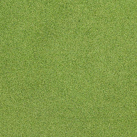 MSI Sample only of MSI Artificial Grass LTRFRPUG15X100-16MM78OZ
Putting Green
