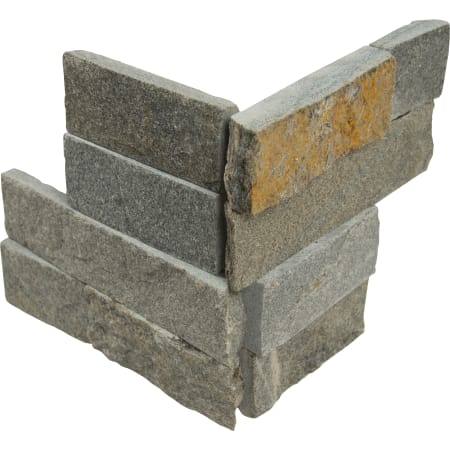 Alternate View