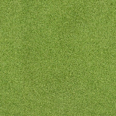 MSI Putting Green 15' Wide by 16 mm Thick - Cut To Length Artificial Grass - Sold by Carton (15 SF/Carton) Putting Green