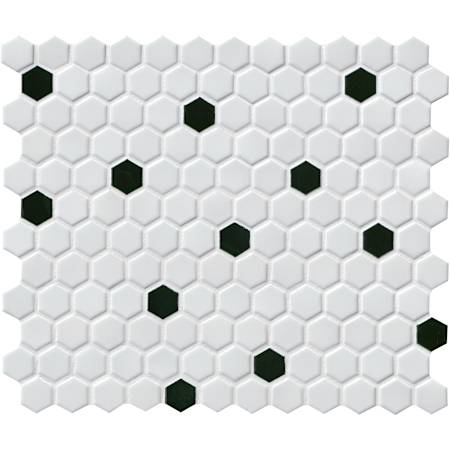 Alternate Image