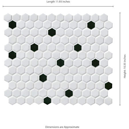 Alternate Image