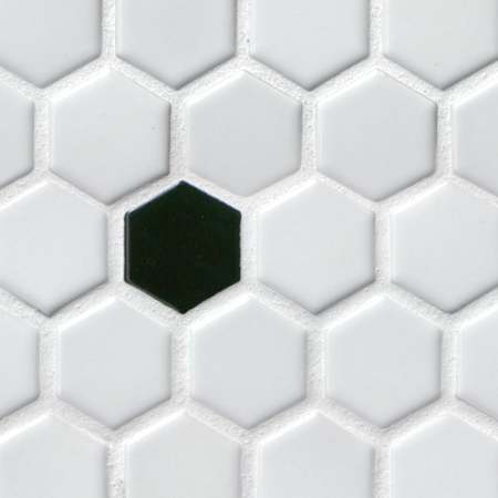 Alternate Image