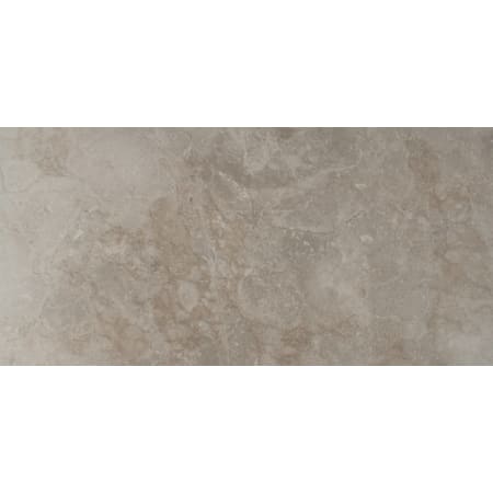 MSI Ansello - 12" x 24" Rectangle Floor Tile - Matte Visual - Sold by Carton (16 SF/Carton) Gray
