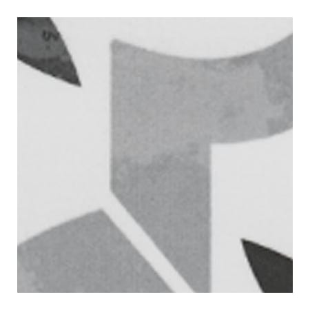 Alternate Image