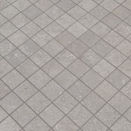 Alternate view