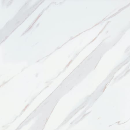 MSI Legions - 24" x 24" Solid Floor and Wall Tile - Matte Visual - Sold by Carton (16 SF/Carton) Calacatta