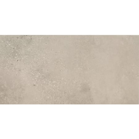 MSI Traktion Calypso - 12" x 24" Rectangle Floor and Wall Tile - Matte Visual - Sold by Carton (14 SF/Carton) Ash