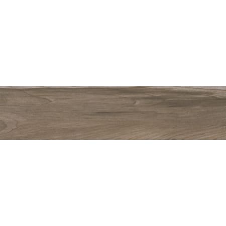 MSI Carolina Timber - 36" x 6" Rectangle Floor Tile - Matte Visual - SAMPLE Beige