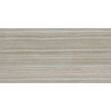 MSI Sample Only of NCHA1224 Silver