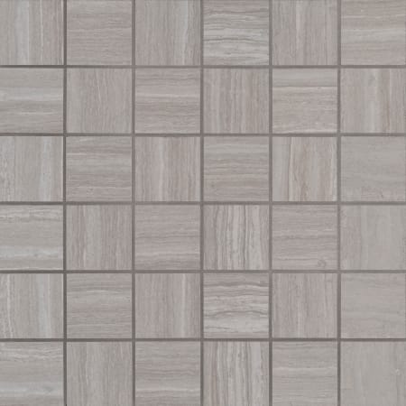 MSI Sample Only of NCHA2X2 Silver