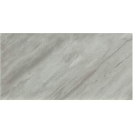 MSI Eden - 24" x 48" Rectangle Floor and Wall Tile - Polished Visual - Sold by Carton (16 SF/Carton) Bardiglio