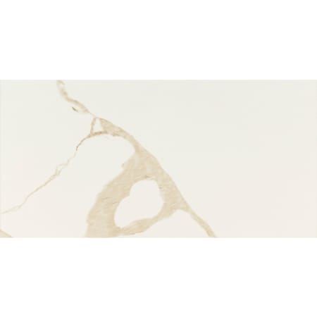 MSI Eden - 12" x 24" Rectangle Floor and Wall Tile - Polished Visual - Sold by Carton (16 SF/Carton) Calacatta