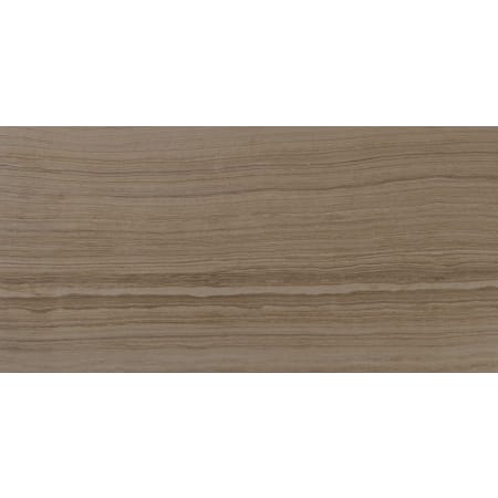 MSI Eramosa - 12" x 24" Rectangle Floor Tile - Matte Visual - Sold by Carton (12 SF/Carton) Beige