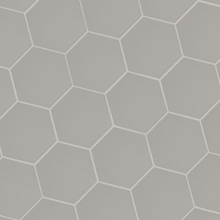 Alternate Image