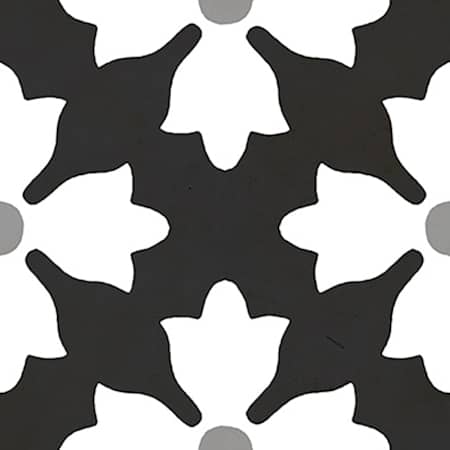 Alternate Image