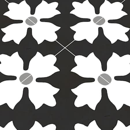 Alternate Image
