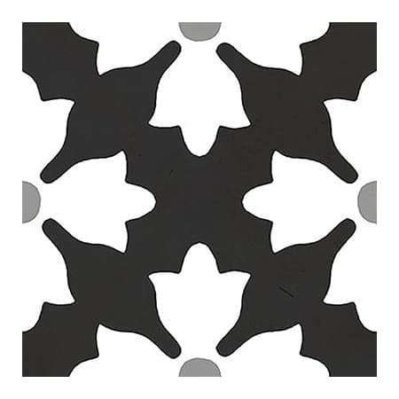 Alternate Image