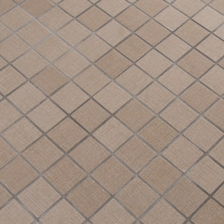 Alternate view