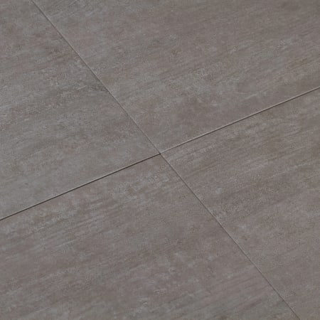 Alternate View