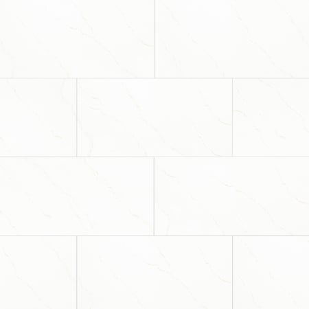 MSI 24" x 48" Rectangle Floor Tile - Matte Visual - Sold by Carton (16 SF/Carton) Gold