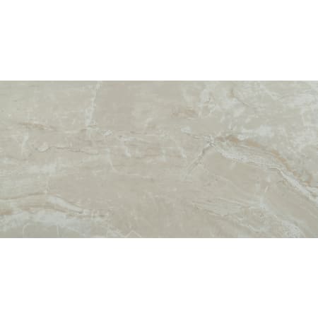 MSI 12" x 24" Rectangle Floor and Wall Tile - Matte Visual - Sold by Carton (16 SF/Carton) Onyx Ivory