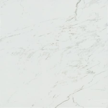 MSI Pietra - 24" x 24" Square Floor and Wall Tile - Polished Visual - Sold by Carton (16 SF/Carton) Carrara