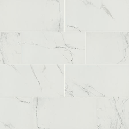 MSI Praia - 12" x 24" Rectangle Floor and Wall Tile - Polished Visual - Sold by Carton (16 SF/Carton) Carrara
