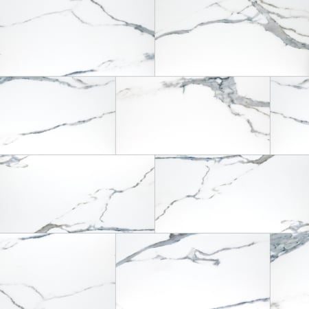 MSI Savoy - 24" x 48" Rectangle Floor and Wall Tile - Matte Visual - Sold by Carton (16 SF/Carton) Azula