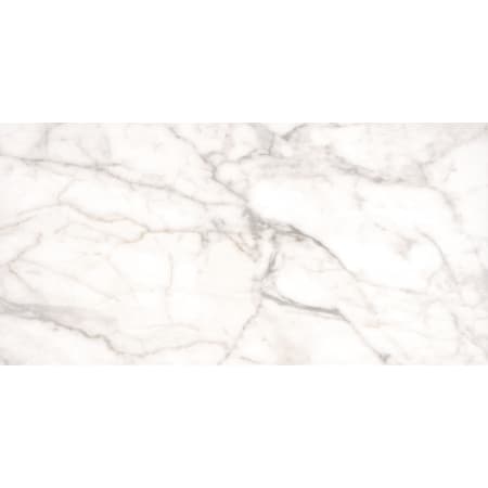 MSI White Vena - 12" x 24" Rectangle Field Tile - Matte Visual - Sold by Carton (16 SF/Carton) White