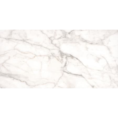 MSI Sample Only of NVEN1224 White