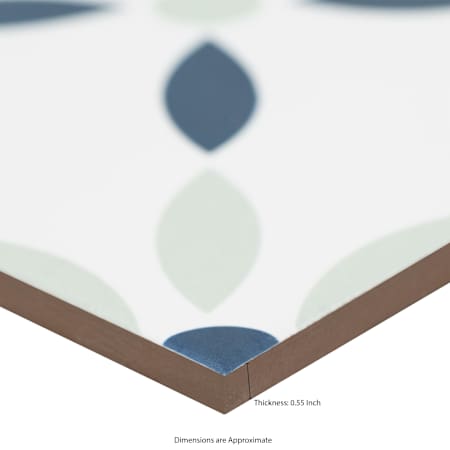 Alternate Image