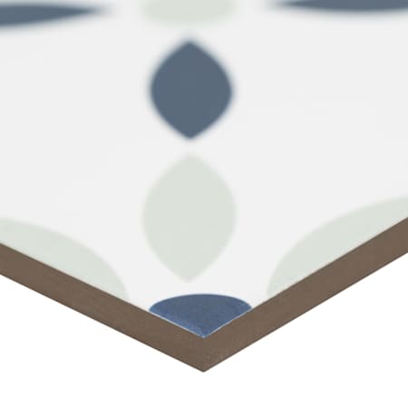 Alternate Image