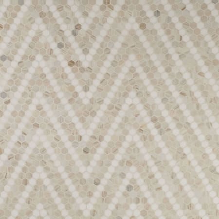 MSI Sample only of SMOT-ANGORA-SAZP Sazi