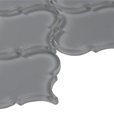 Alternate View