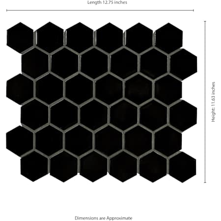 Alternate Image