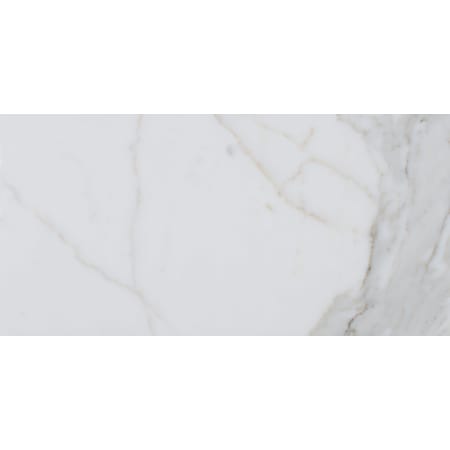 MSI 24" x 12" Rectangle Wall & Floor Tile - Smooth Marble Visual - Sold by Carton (12 SF/Carton) Polished