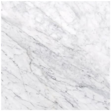 MSI Carrara White - 12" x 12" Square Floor and Wall Tile - Honed Visual - Sold by Carton (10 SF/Carton) Honed