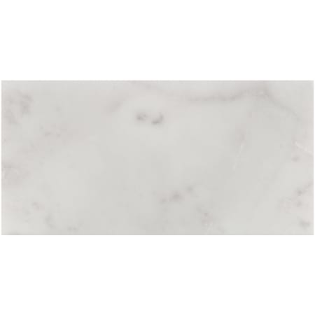 MSI Carrara White 3" x 6" Honed Marble Floor and Wall Tile - Sold by Carton (5 SF/Carton) N/A